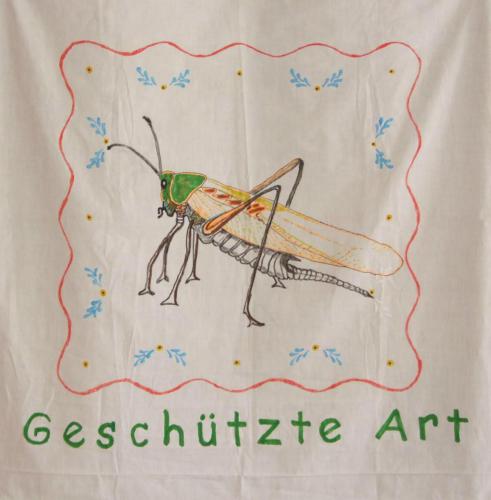 Heuschrecke Geschuetzte Art