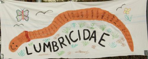 Lumbricidae