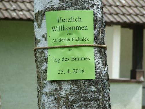 Tag des Baumes 2 web