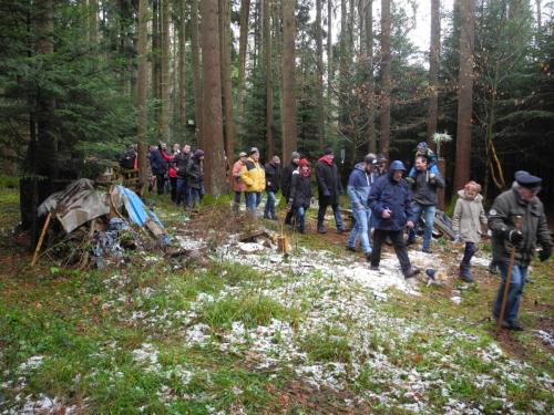 Waldbegehung_Gruppe2_5