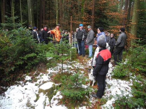 Waldbegehung_Gruppe2_7