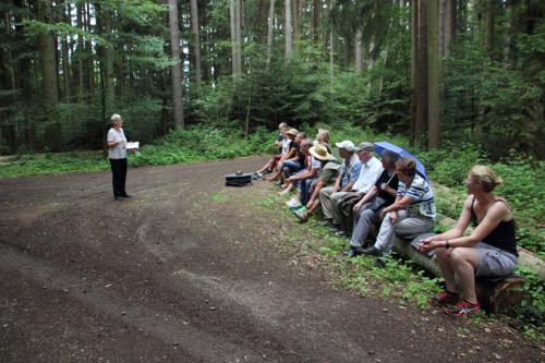 Kräuterwanderug